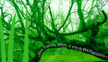 1.Kooperationsveranstaltung: Musiktheaterprojekt „Vom kleinen Troll Heinrich im großen Leipziger Auwald“